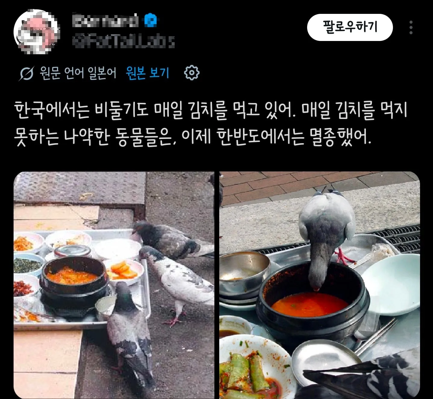 한국에서 사람이외에 김치 먹는 생물