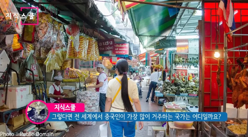 중국과 대만을 제외하고 중국인이 가장 많이 사는 나라