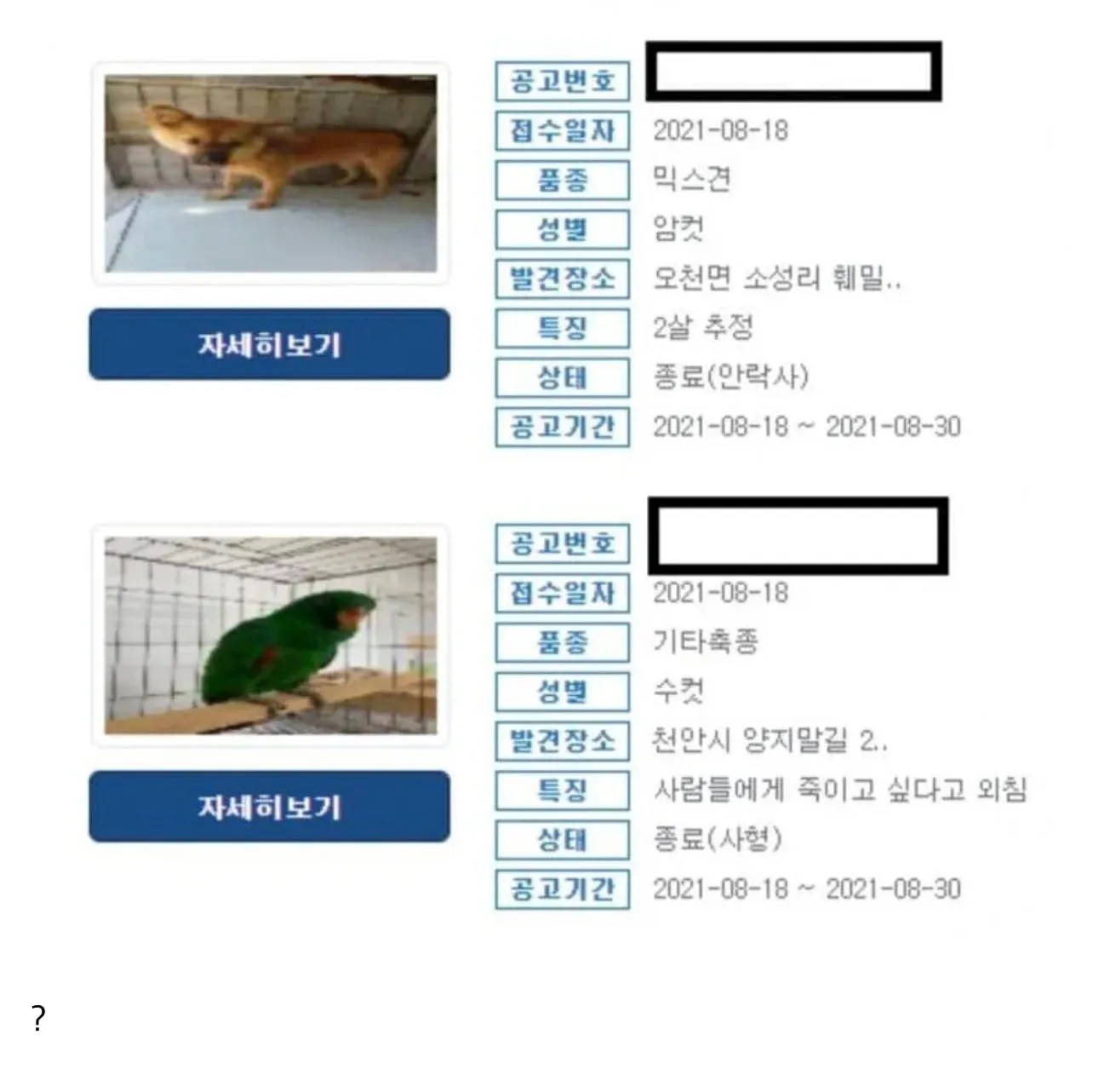 사형수의 마지막 멘트