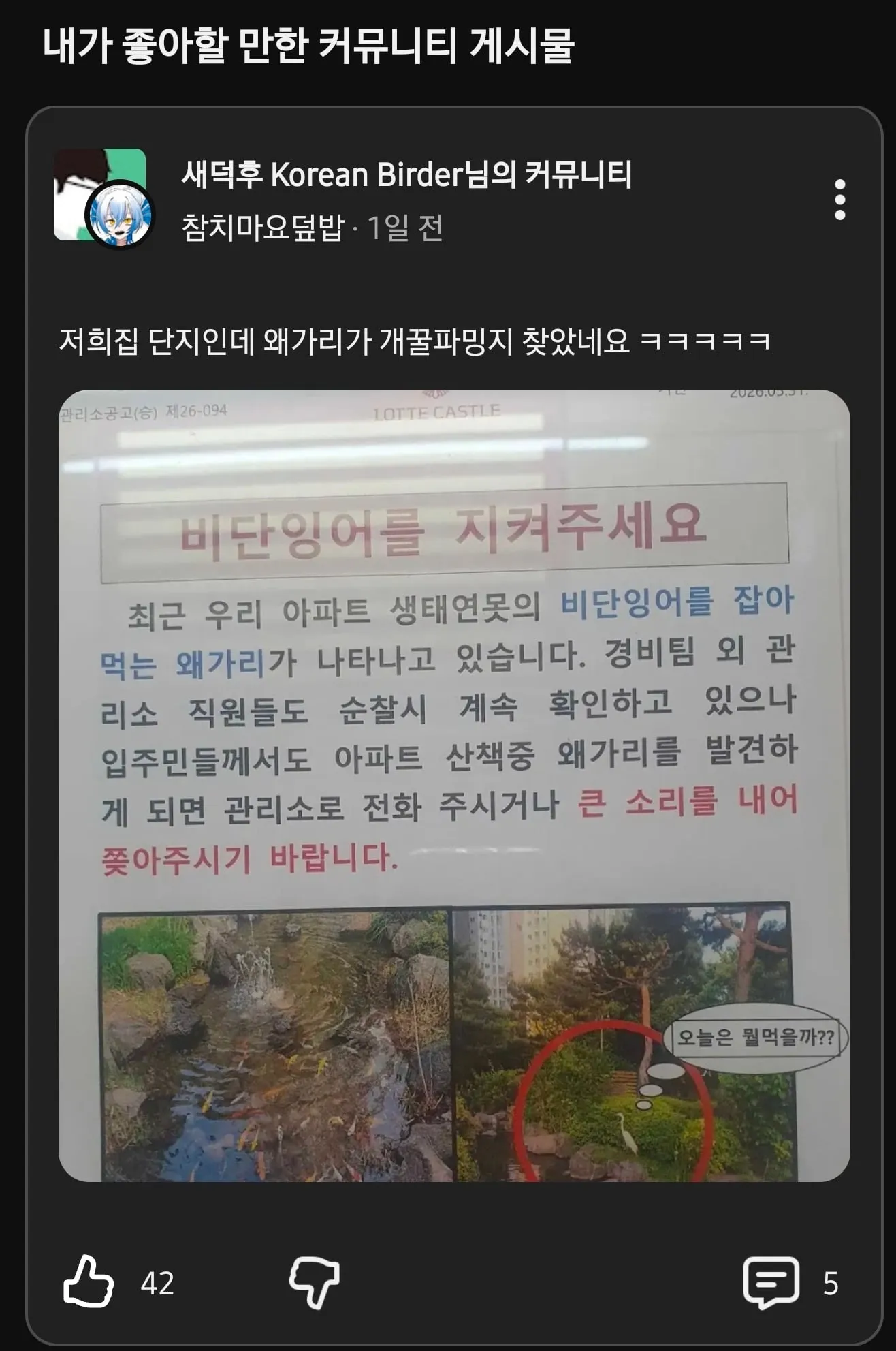 아파트 단지내 왜가리 근황.jpg