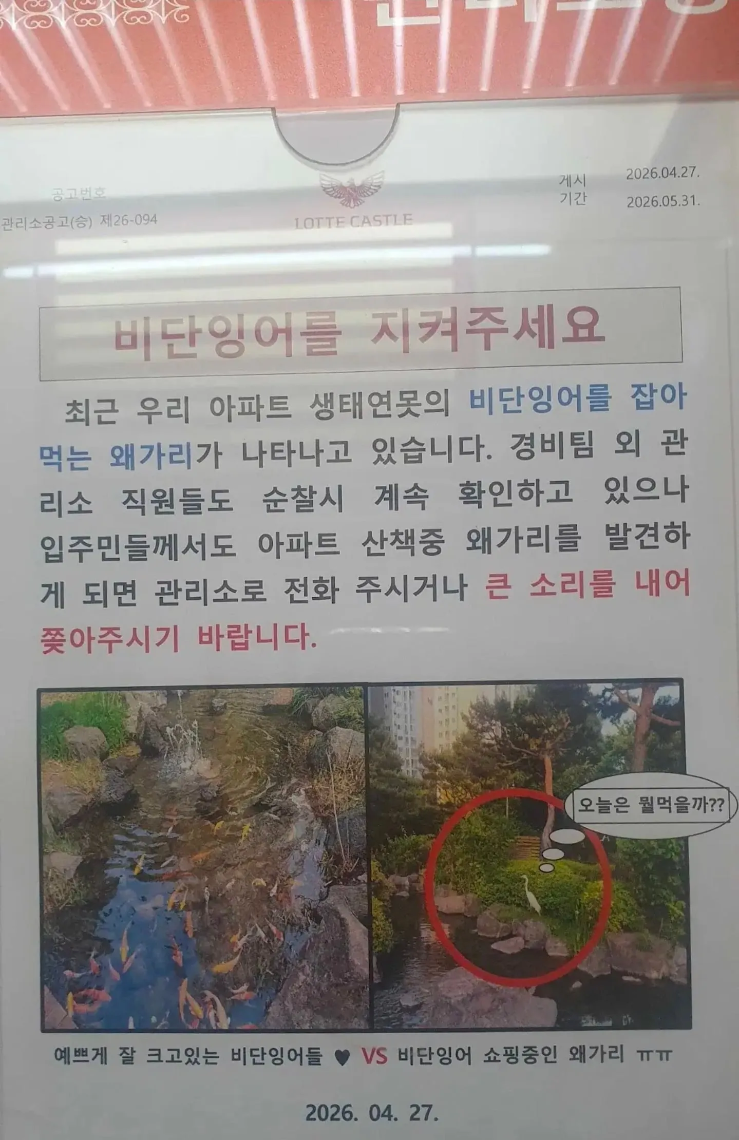 아파트 단지내 왜가리 근황.jpg