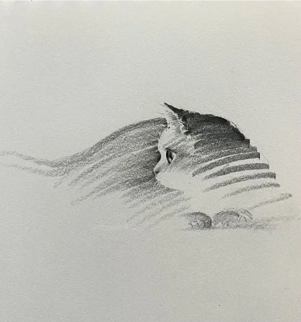 슥삭슥삭 그린 고양이, 강아지 그림