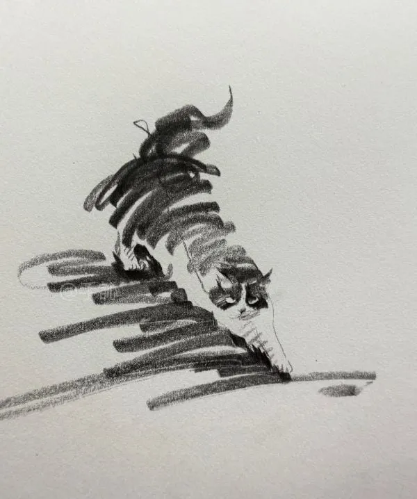 슥삭슥삭 그린 고양이, 강아지 그림