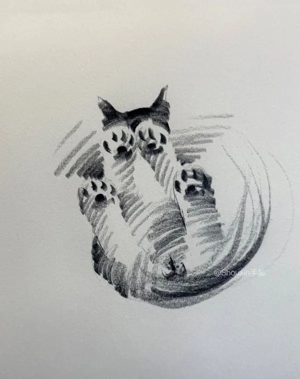 슥삭슥삭 그린 고양이, 강아지 그림