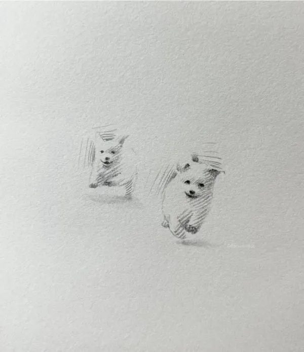 슥삭슥삭 그린 고양이, 강아지 그림
