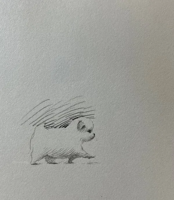 슥삭슥삭 그린 고양이, 강아지 그림