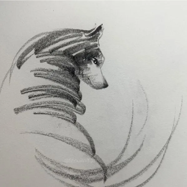 슥삭슥삭 그린 고양이, 강아지 그림