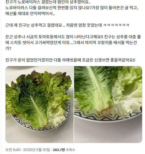 상추 먹다 노로바이러스 걸림