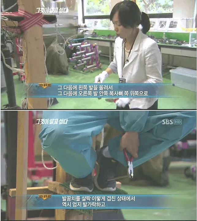 대한민국 자살사건중 가장 쇼킹한 사건