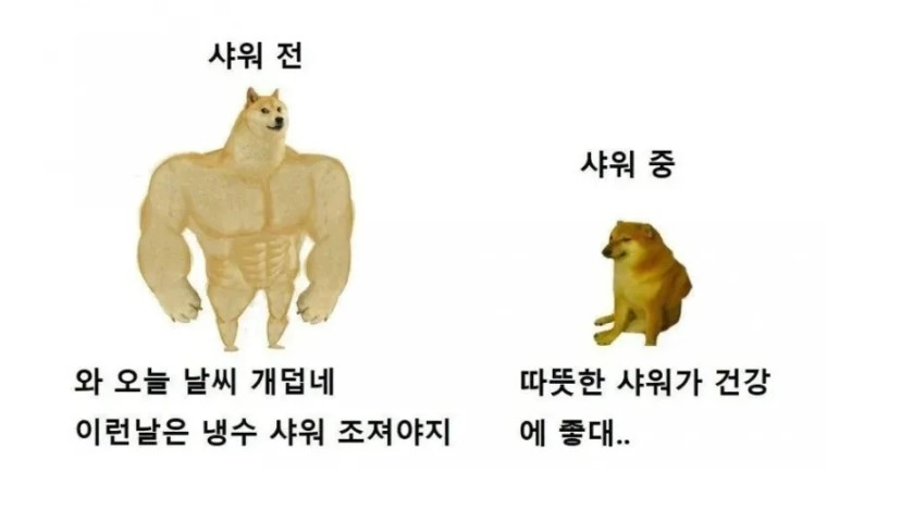 한여름 샤워했을 때 특징