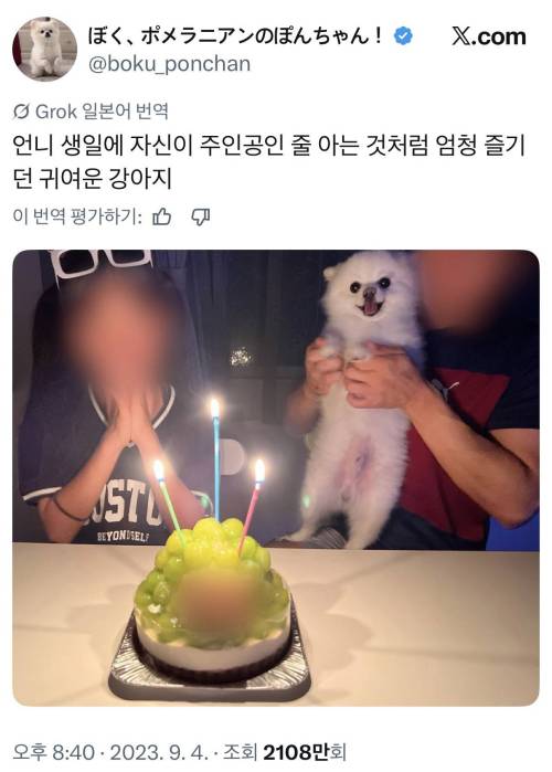 주인공인 줄 아는 것처럼 엄청 즐기던 귀여운 강아지