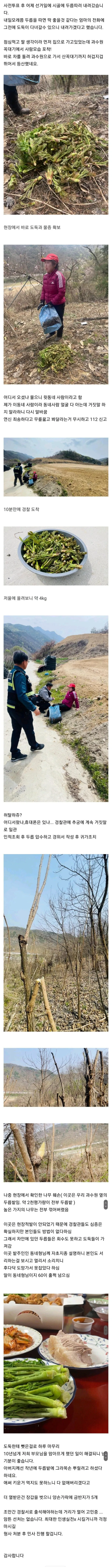현장에서 두릅도둑을 잡았습니다..jpg