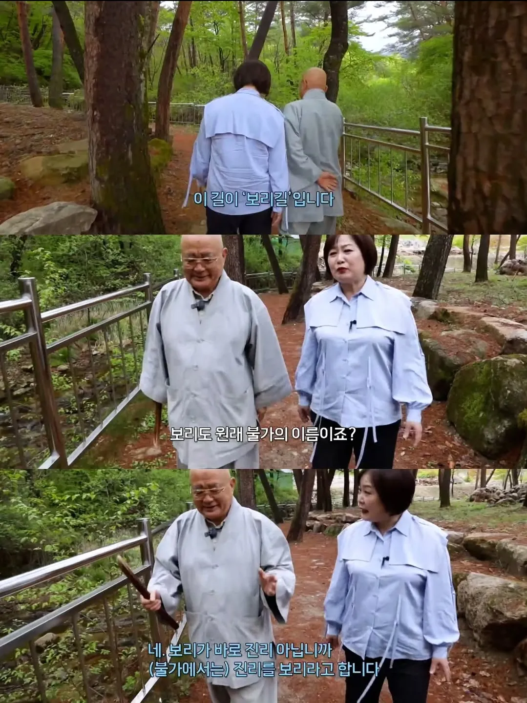보리를 아직 잊지 못 하는 츄파춥스님.jpg