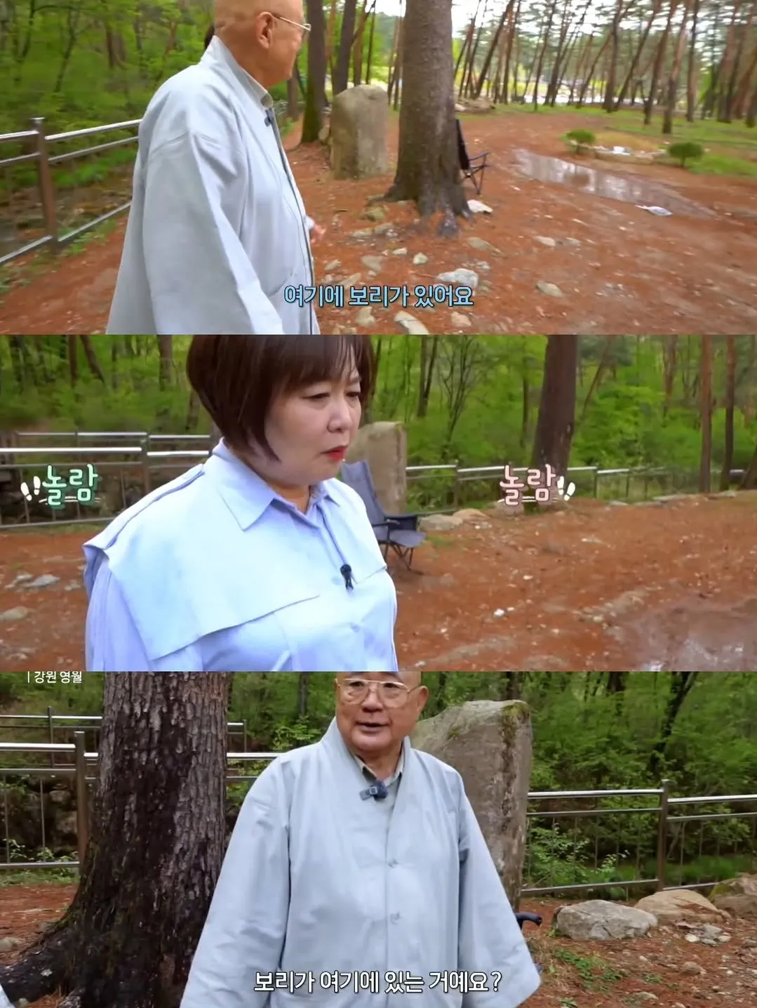 보리를 아직 잊지 못 하는 츄파춥스님.jpg