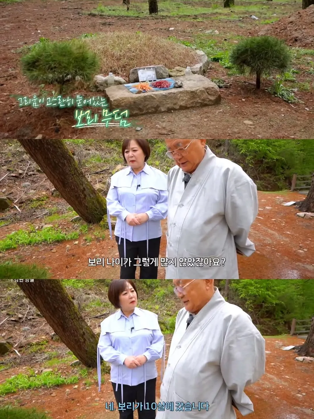 보리를 아직 잊지 못 하는 츄파춥스님.jpg