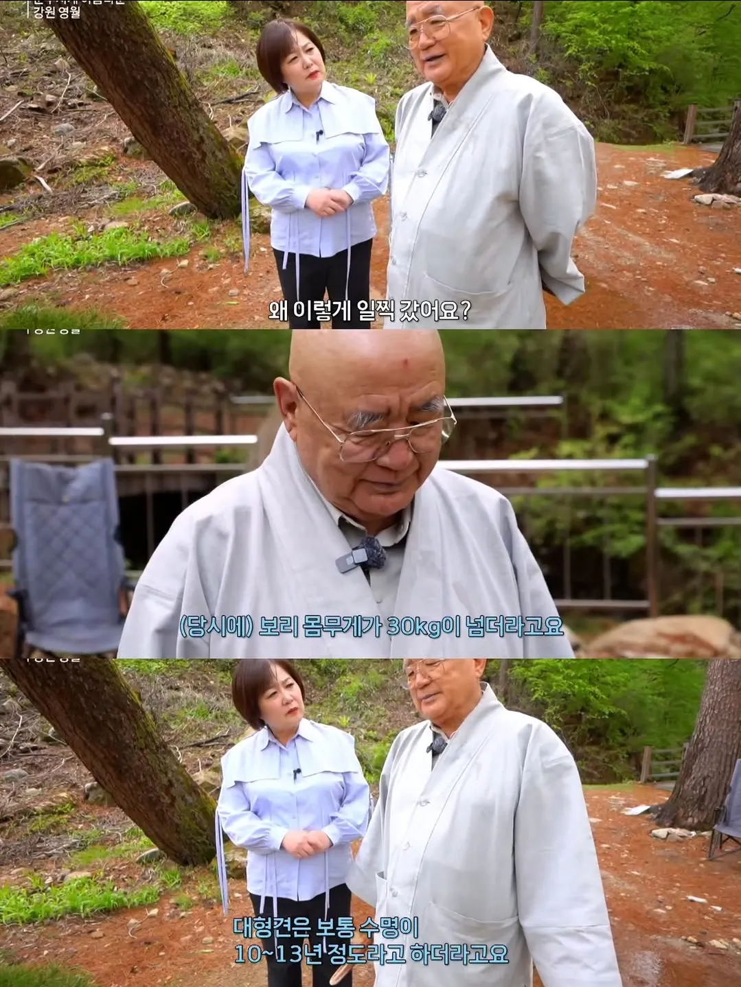 보리를 아직 잊지 못 하는 츄파춥스님.jpg