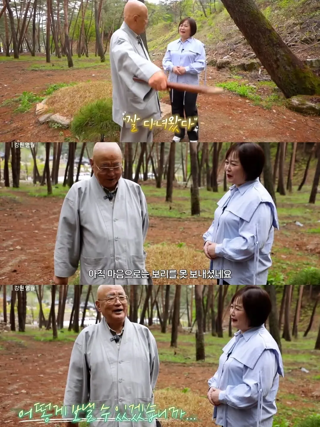 보리를 아직 잊지 못 하는 츄파춥스님.jpg