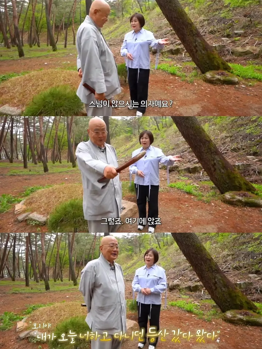 보리를 아직 잊지 못 하는 츄파춥스님.jpg