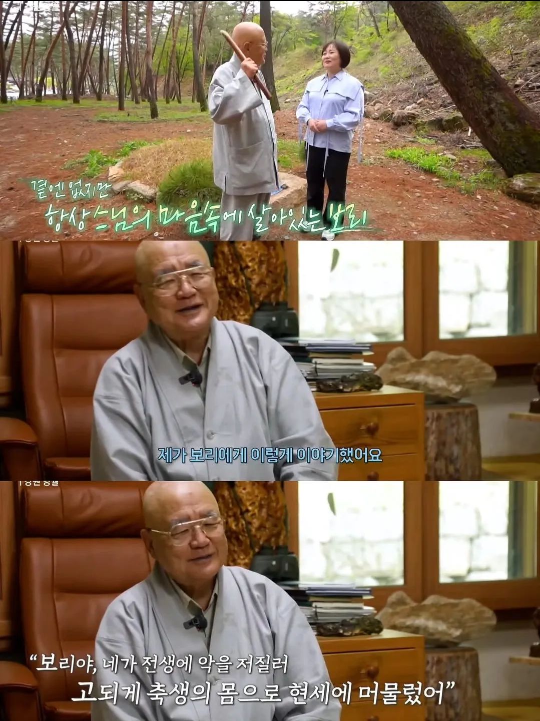 보리를 아직 잊지 못 하는 츄파춥스님.jpg