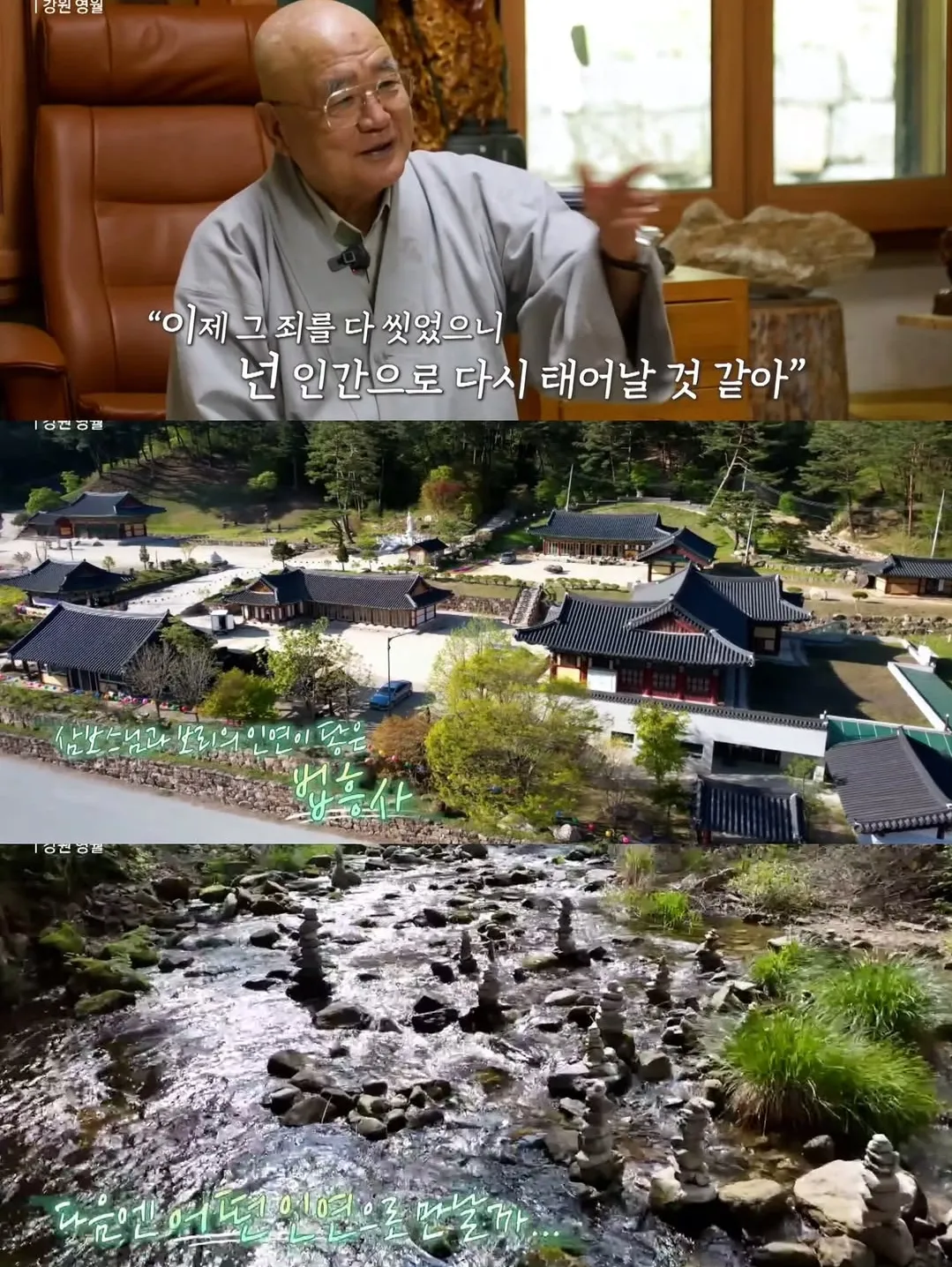 보리를 아직 잊지 못 하는 츄파춥스님.jpg