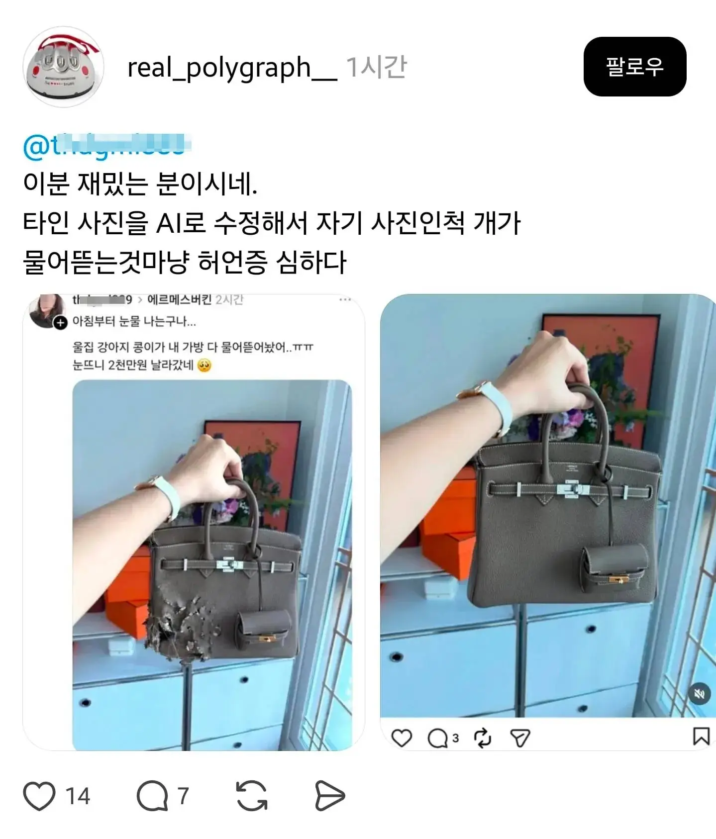강아지가 버킨백 뜯어먹었어 ㅠㅠ