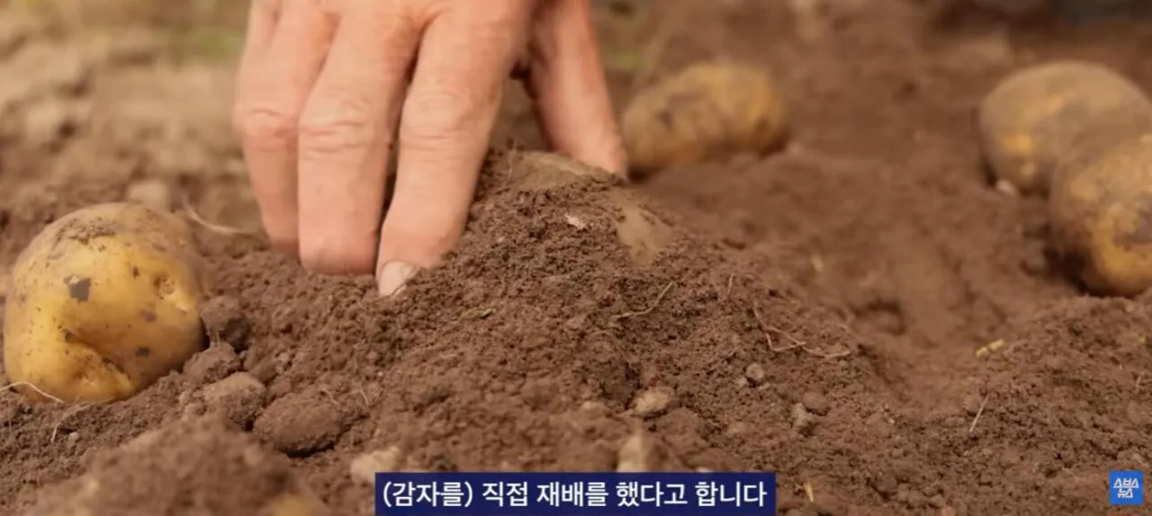 중국에서 초대박 한국 과자.JPG