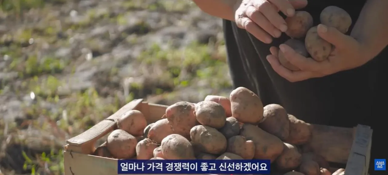 중국에서 초대박 한국 과자.JPG