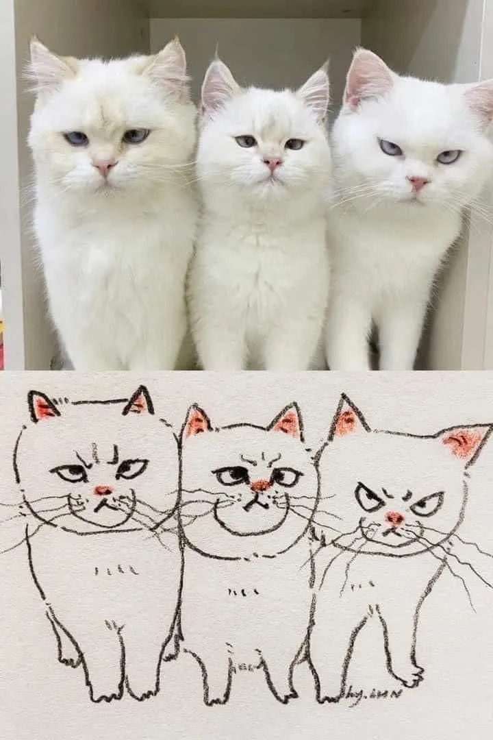 고양이 캐리커처 모음.