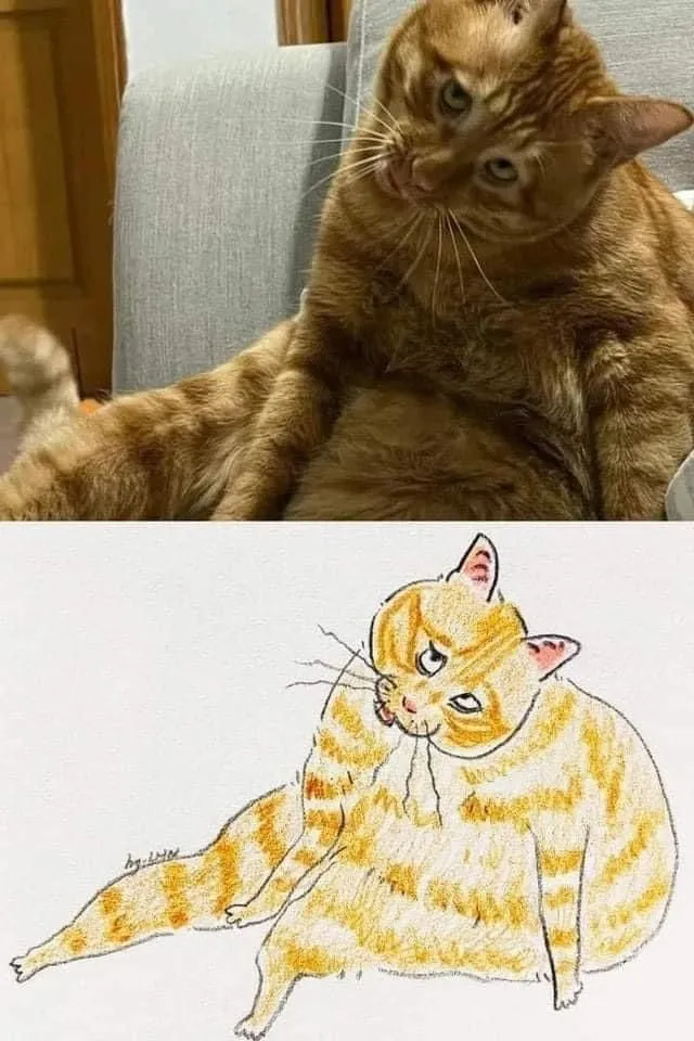 고양이 캐리커처 모음.