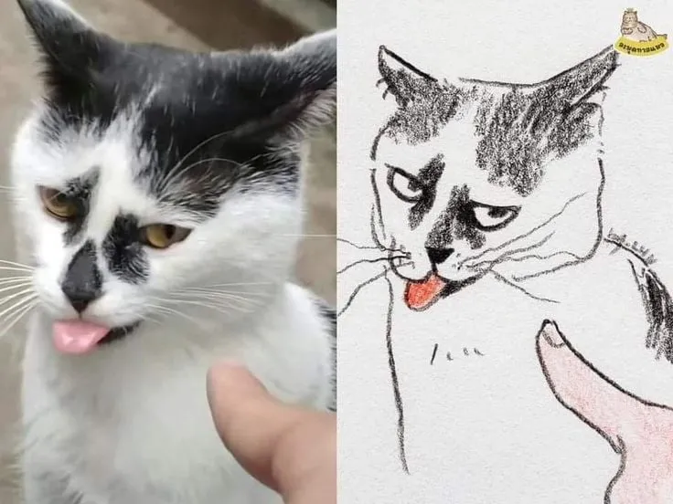고양이 캐리커처 모음.