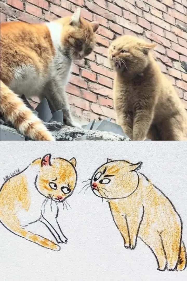 고양이 캐리커처 모음.