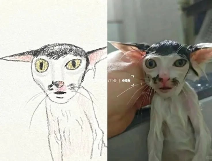 고양이 캐리커처 모음.
