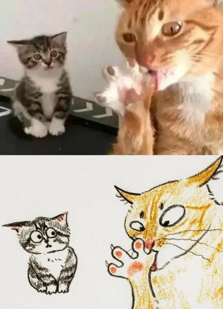 고양이 캐리커처 모음.