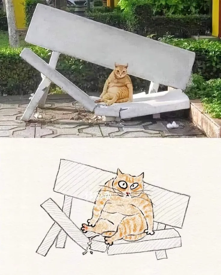 고양이 캐리커처 모음.