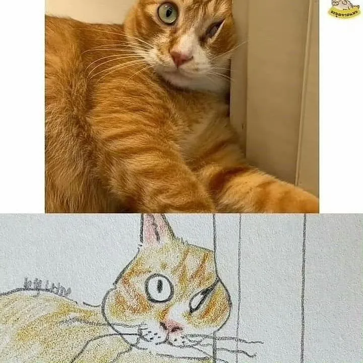 고양이 캐리커처 모음.