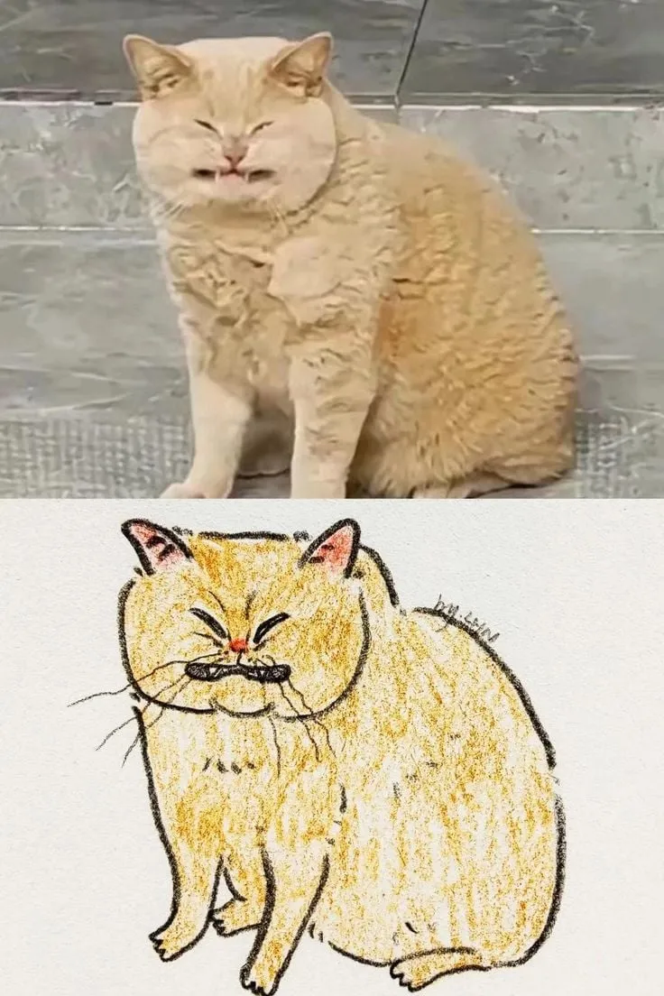 고양이 캐리커처 모음.