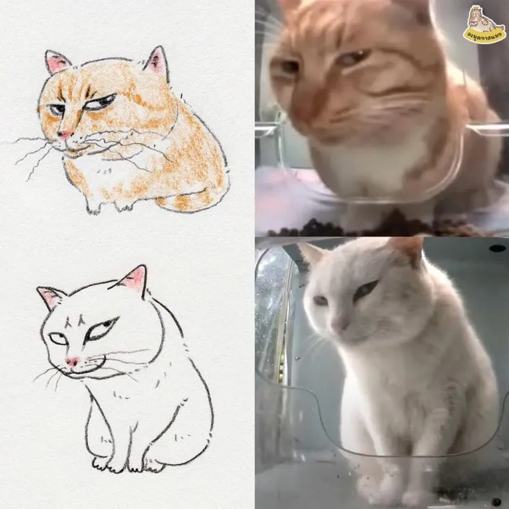 고양이 캐리커처 모음.