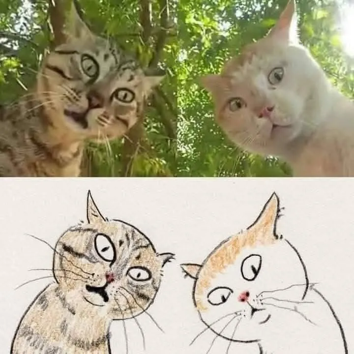 고양이 캐리커처 모음.