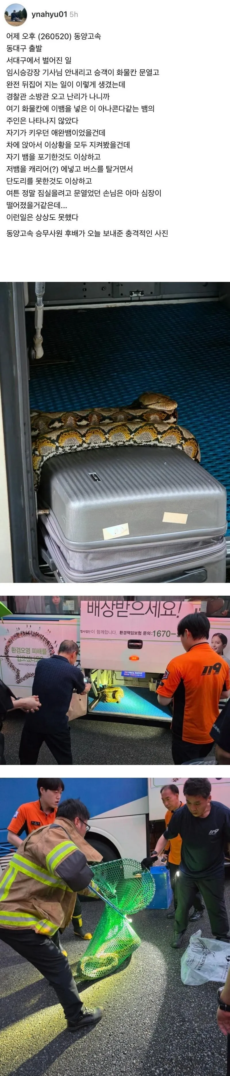 스레드] 동대구 출발 고속버스에서 발견된 뱀