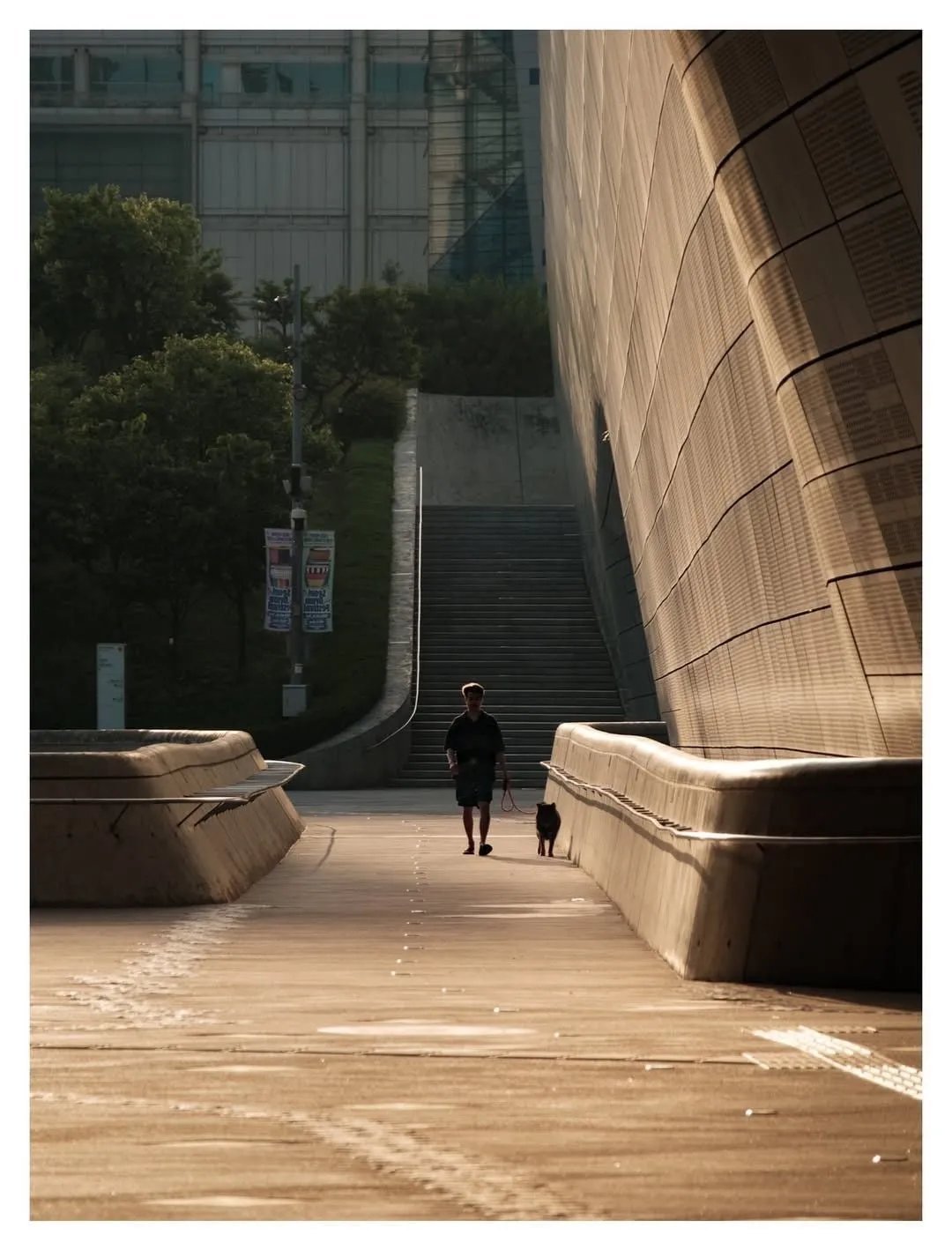 미국 사진작가가 한국와서 찍은 서울 사진들