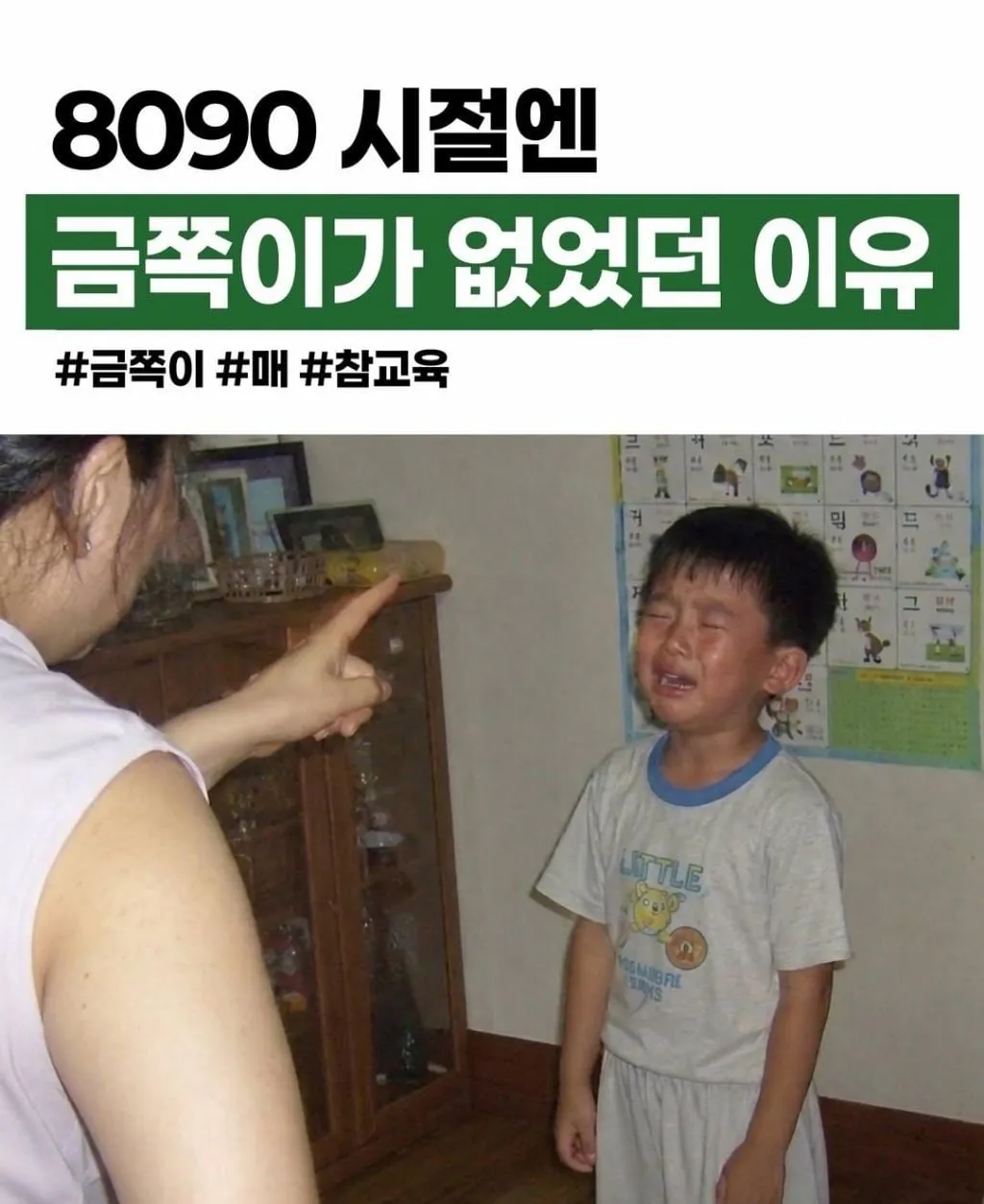 옛날에 금쪽이가 잘 안보이던 이유