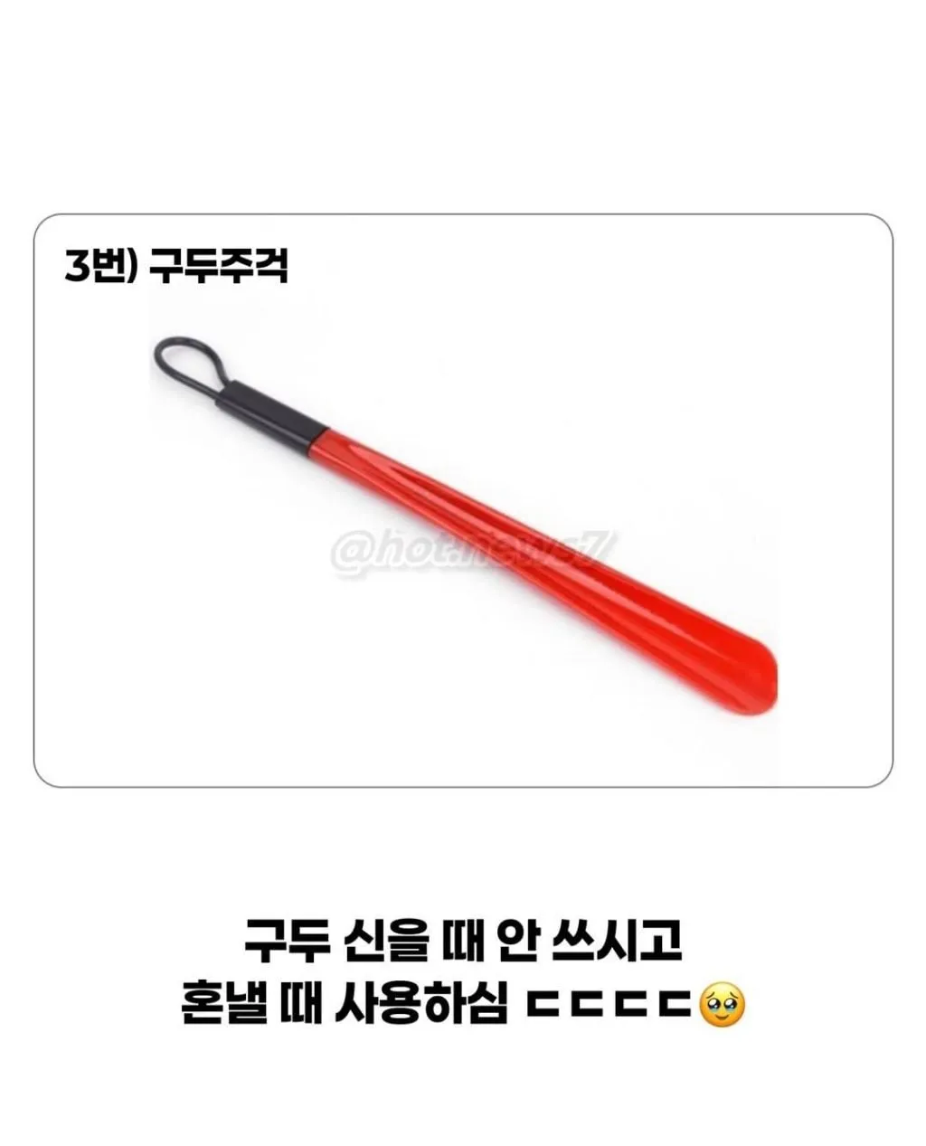 옛날에 금쪽이가 잘 안보이던 이유