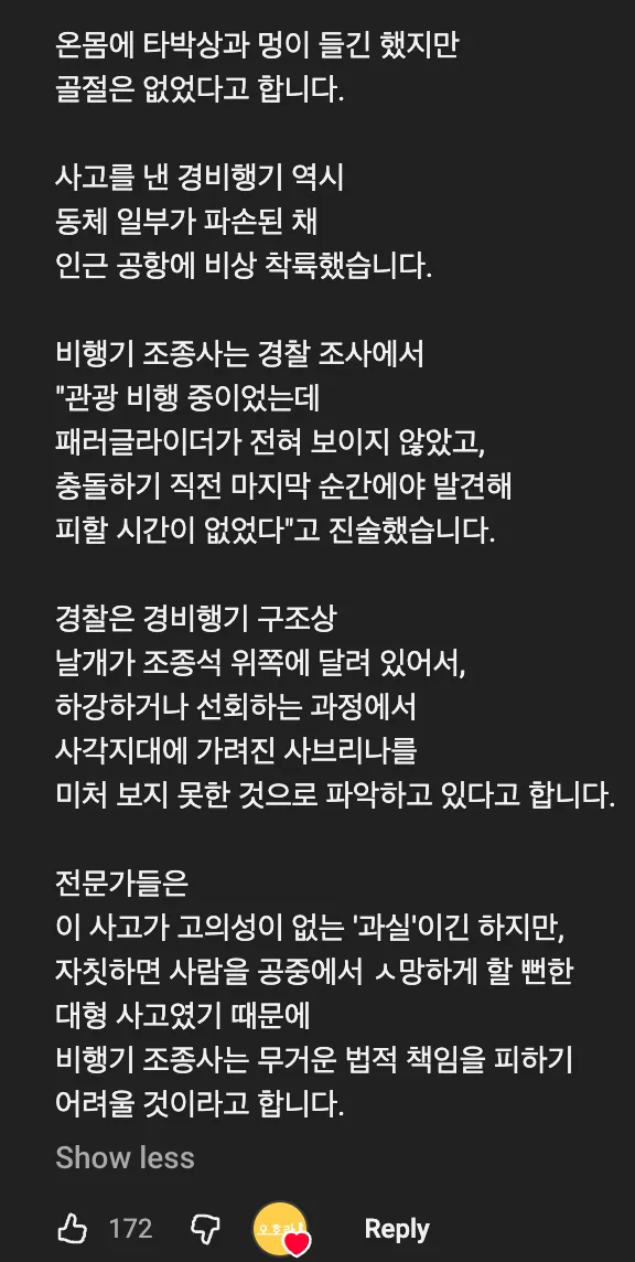 ✈️ 비행기에게 공격당한 패러글라이더 🪂