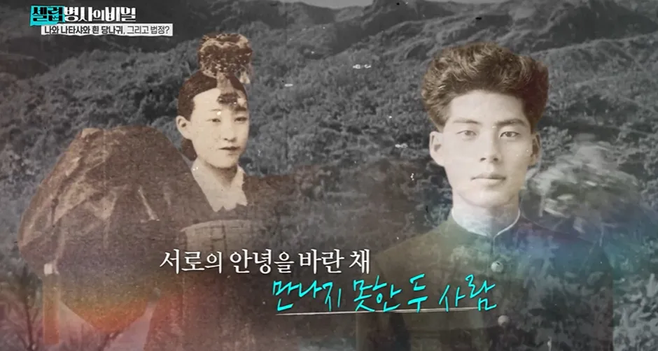 1987년에 1000억을 스님에게 주면서 부탁한 여자.jpg