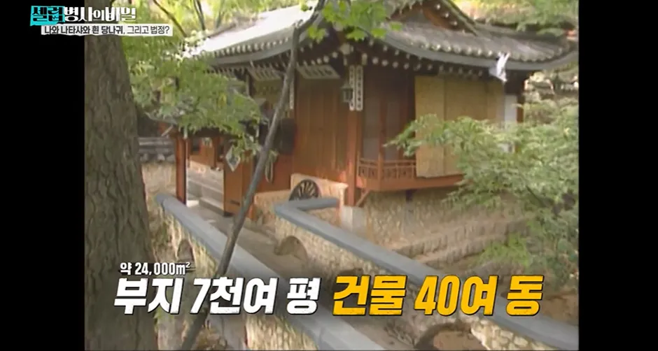 1987년에 1000억을 스님에게 주면서 부탁한 여자.jpg
