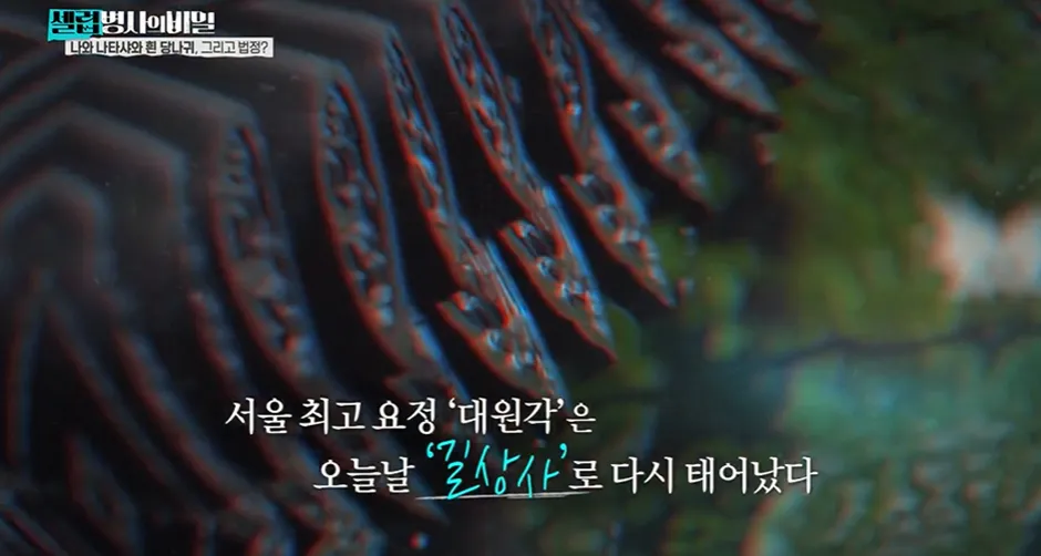 1987년에 1000억을 스님에게 주면서 부탁한 여자.jpg