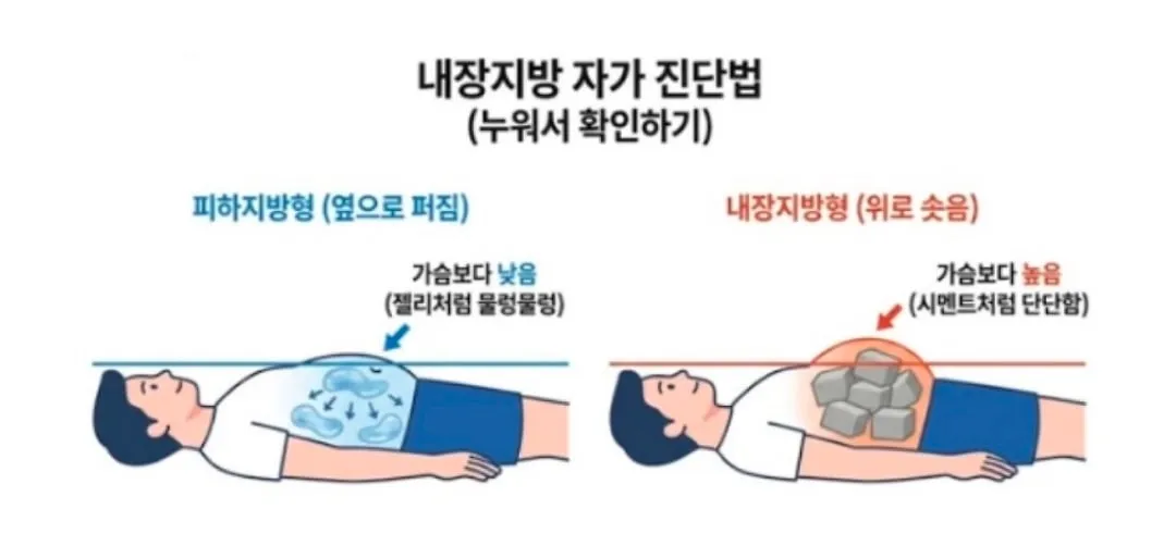 내장지방 테스트