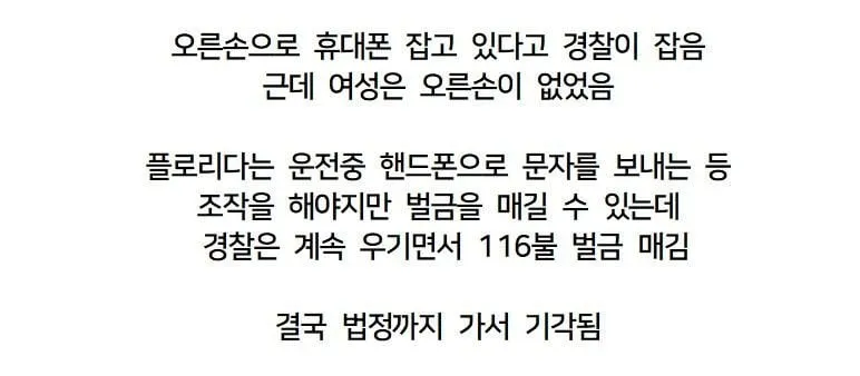 미국에서 난리난 운전중 핸드폰 사용으로 잡힌 여성