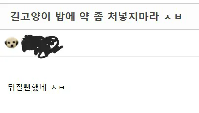 길고양이 밥에 약타면 위험한 이유.jpg