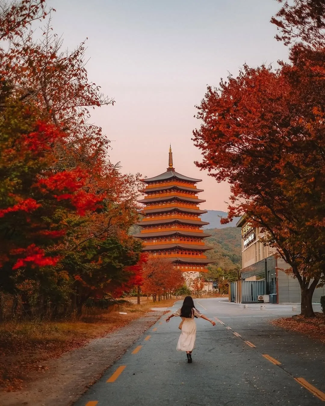 교토처럼 되고 있는 경주 상황.jpg